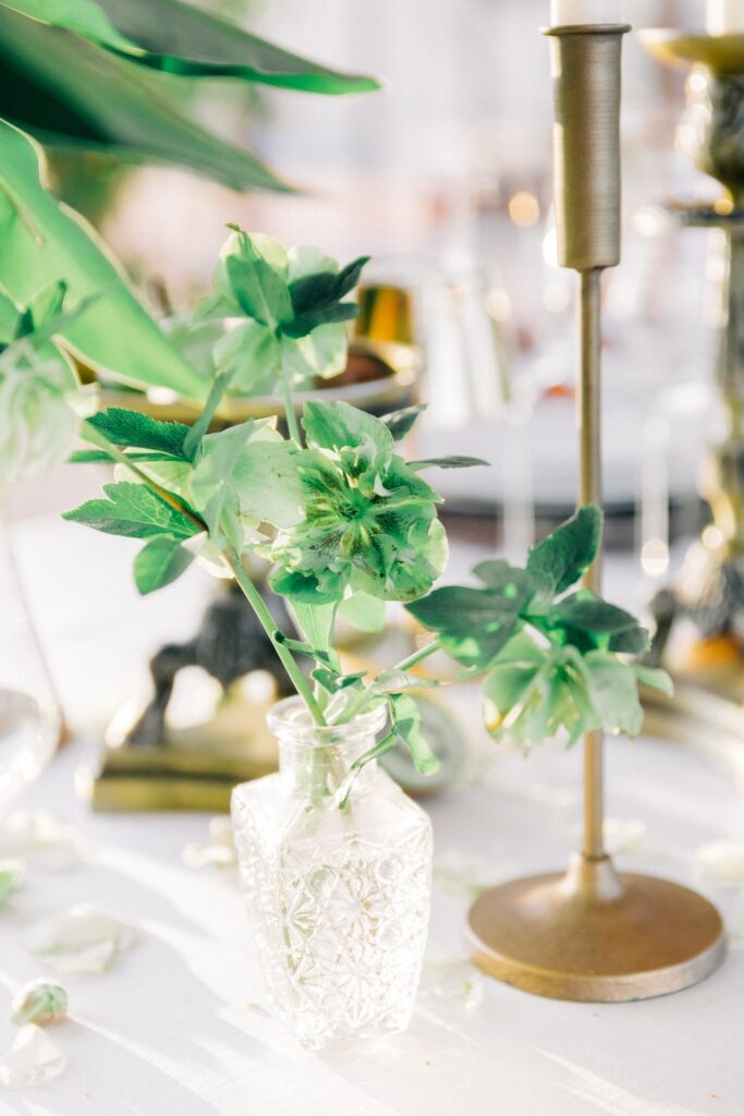 Winter garden - Jungle table inspiration - wedding in TuscanyStyled Shoot Vignamaggio by Biancospino Flowers Atelier - Florist Tuscany_132
